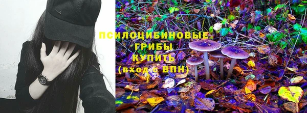 ECSTASY Кинешма