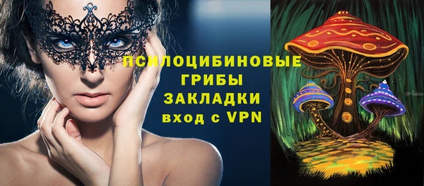 ешки Кедровый