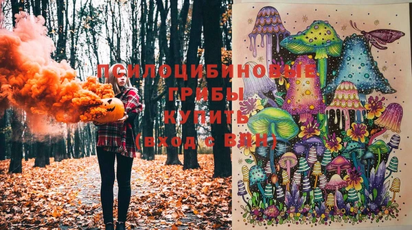 ECSTASY Кинешма