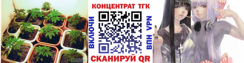 ТГК Wax OMG зеркало Называевск